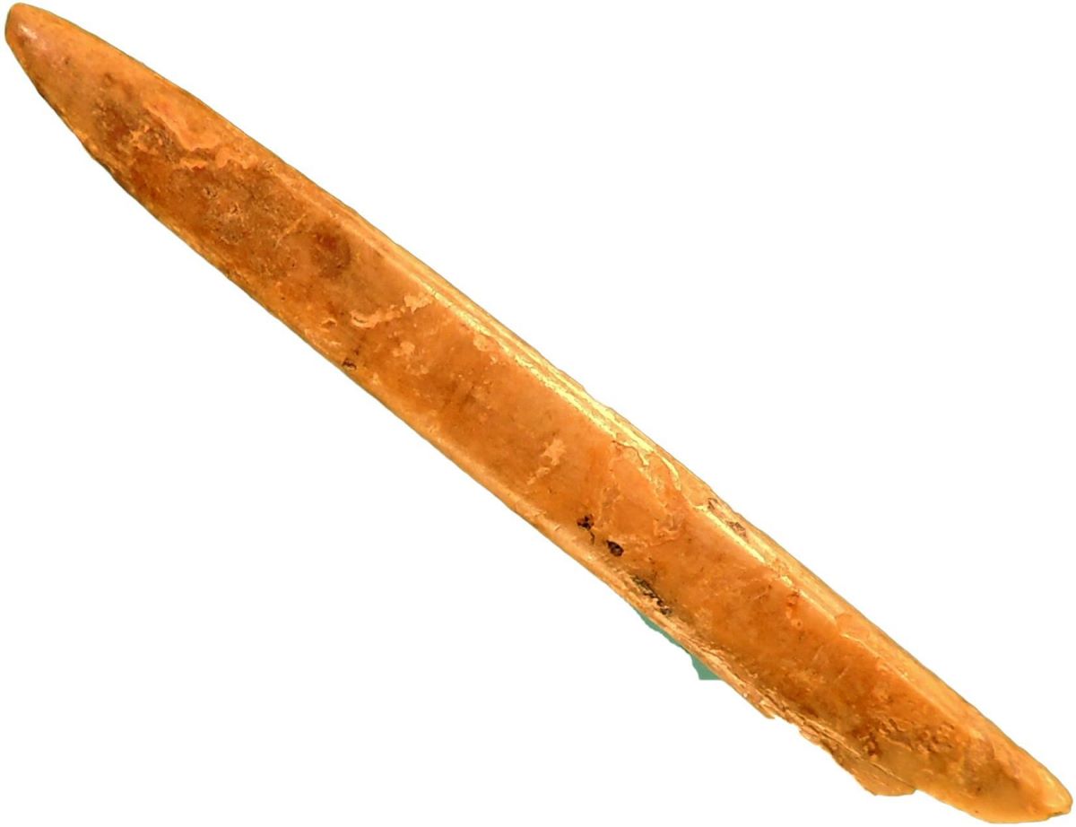 Vârf pe fibula de porc