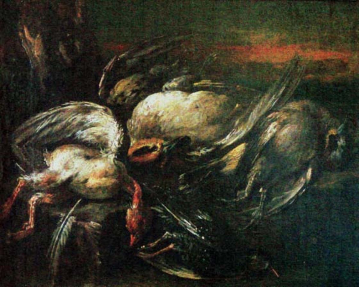 Păsări vânate