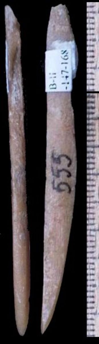 Vârf pe fragment diafizar de os lung