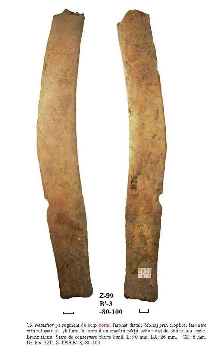 Netezitor pe fragment de os plat (coastă)