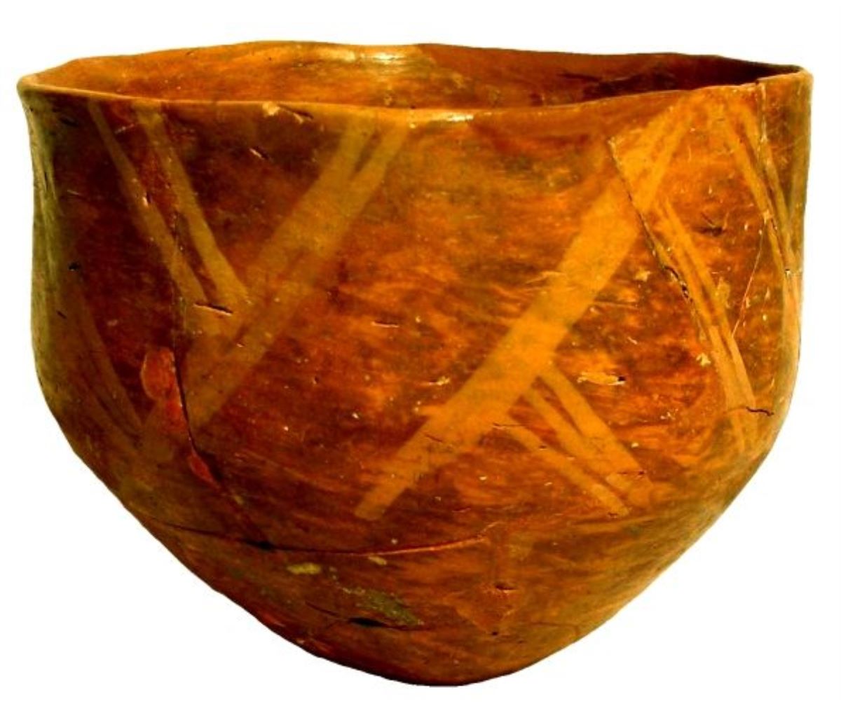 cupă