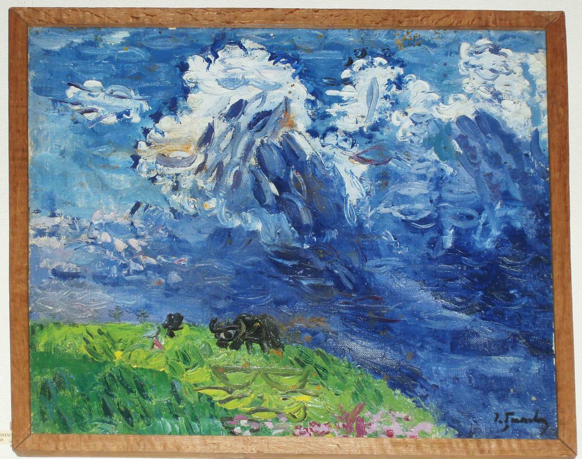 Pajiște