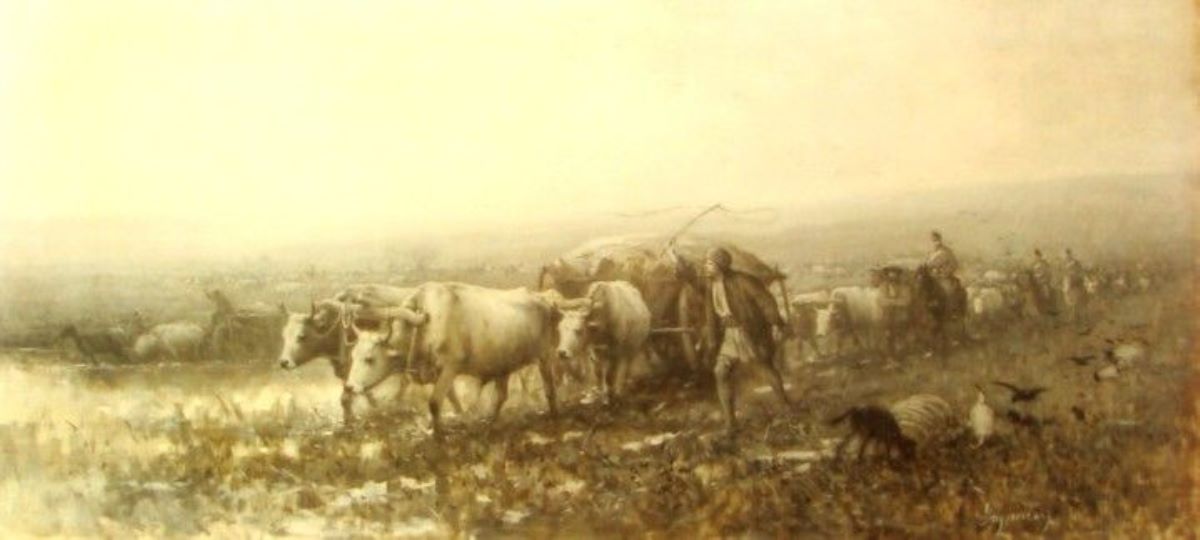 Transport de provizii