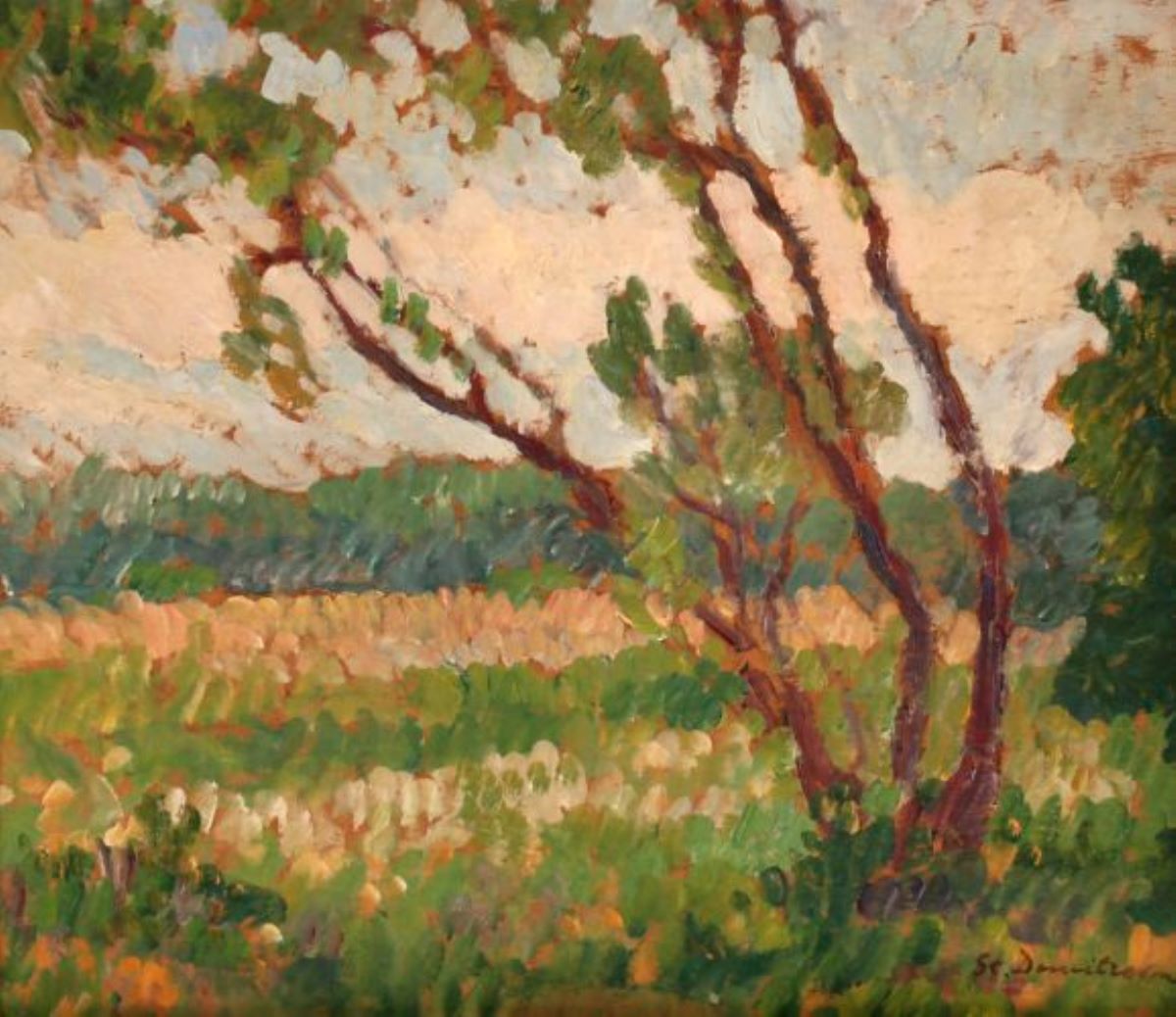 Peisaj la marginea pădurii