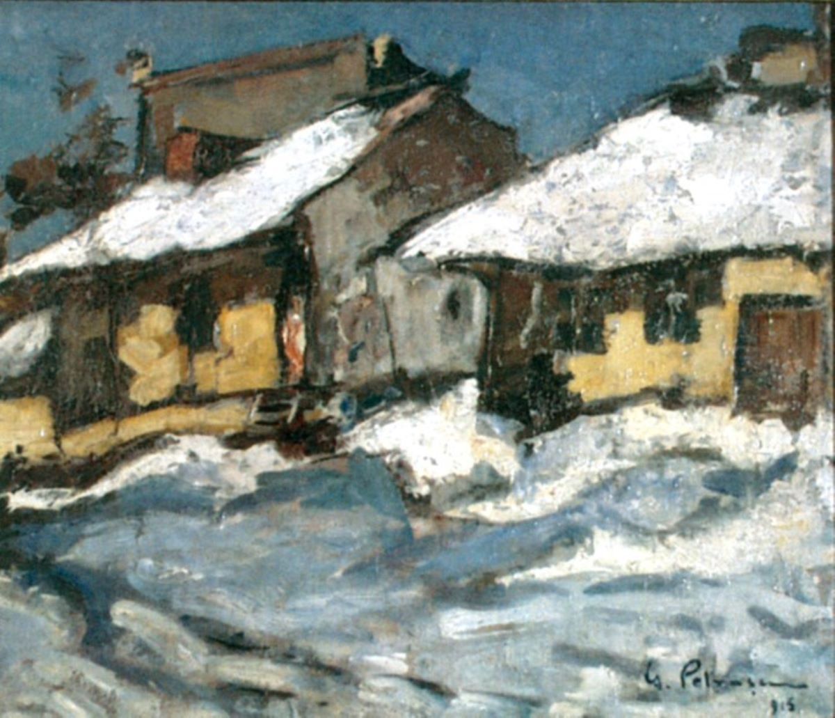 Case iarna