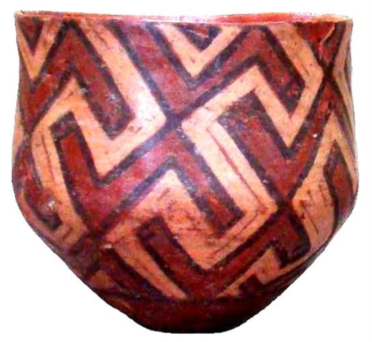 cupă