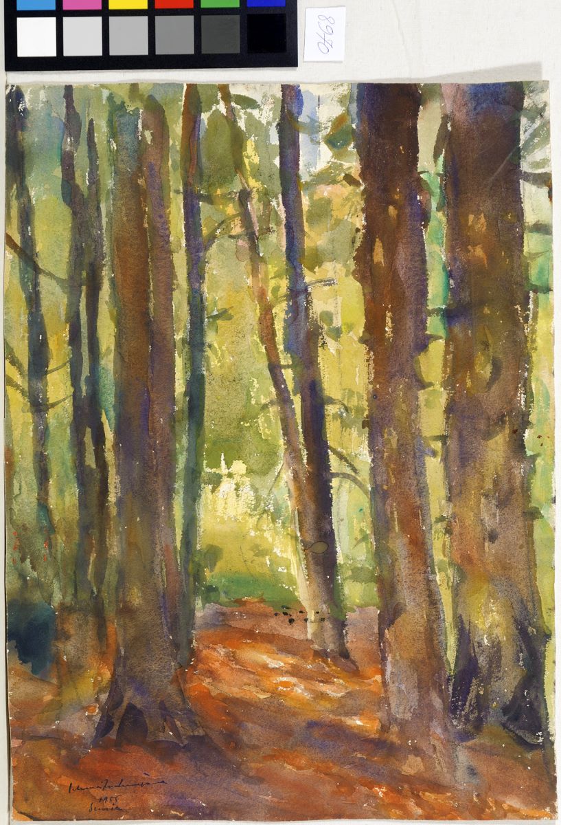 Interior de pădure