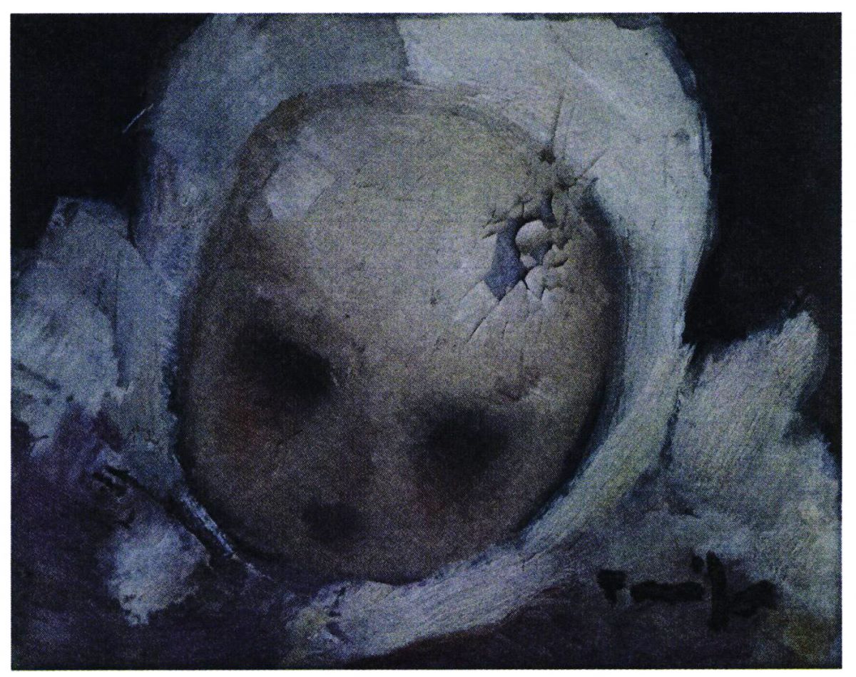 Portret de copil