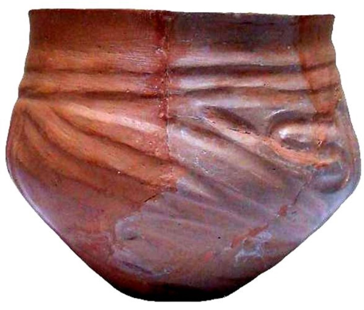 vas antropomorf