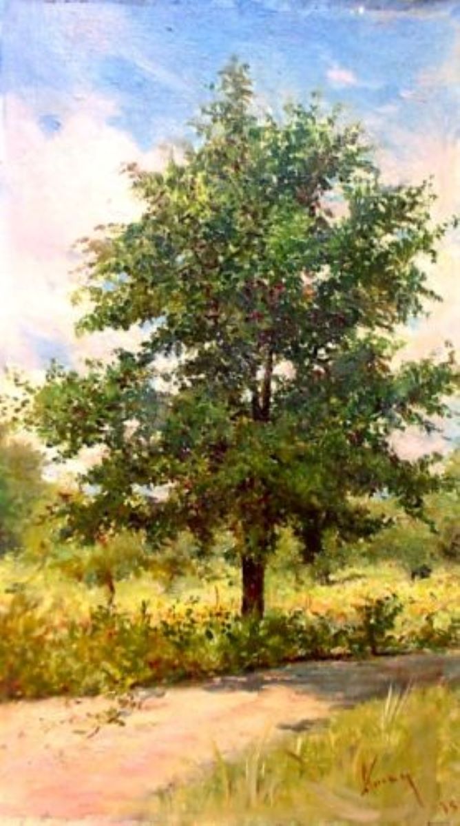 Stejarul
