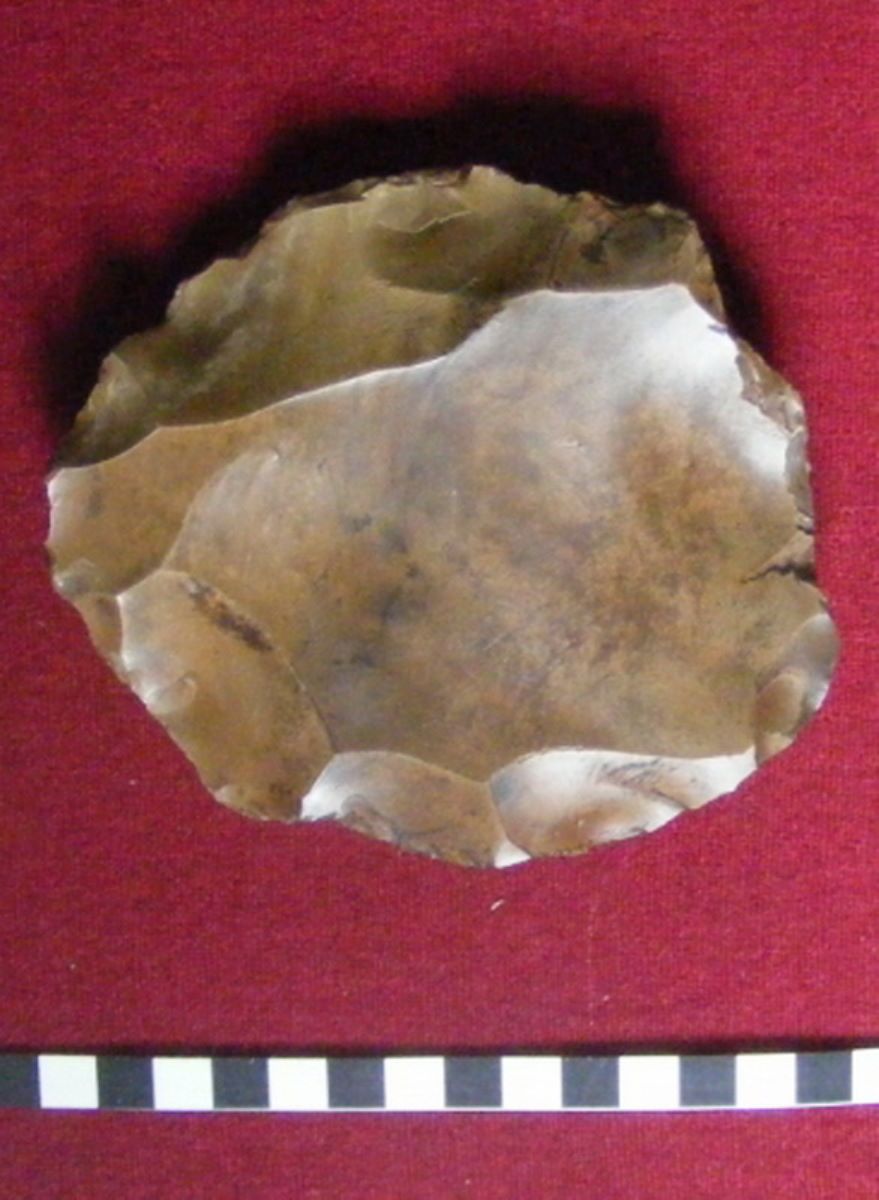 Nucleu levallois