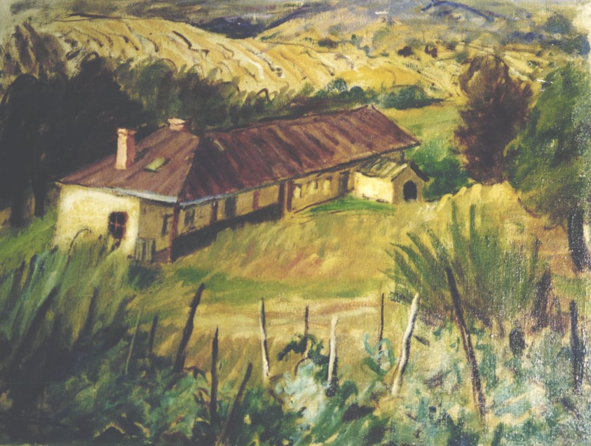 Casa Pallady-peisaj rustic