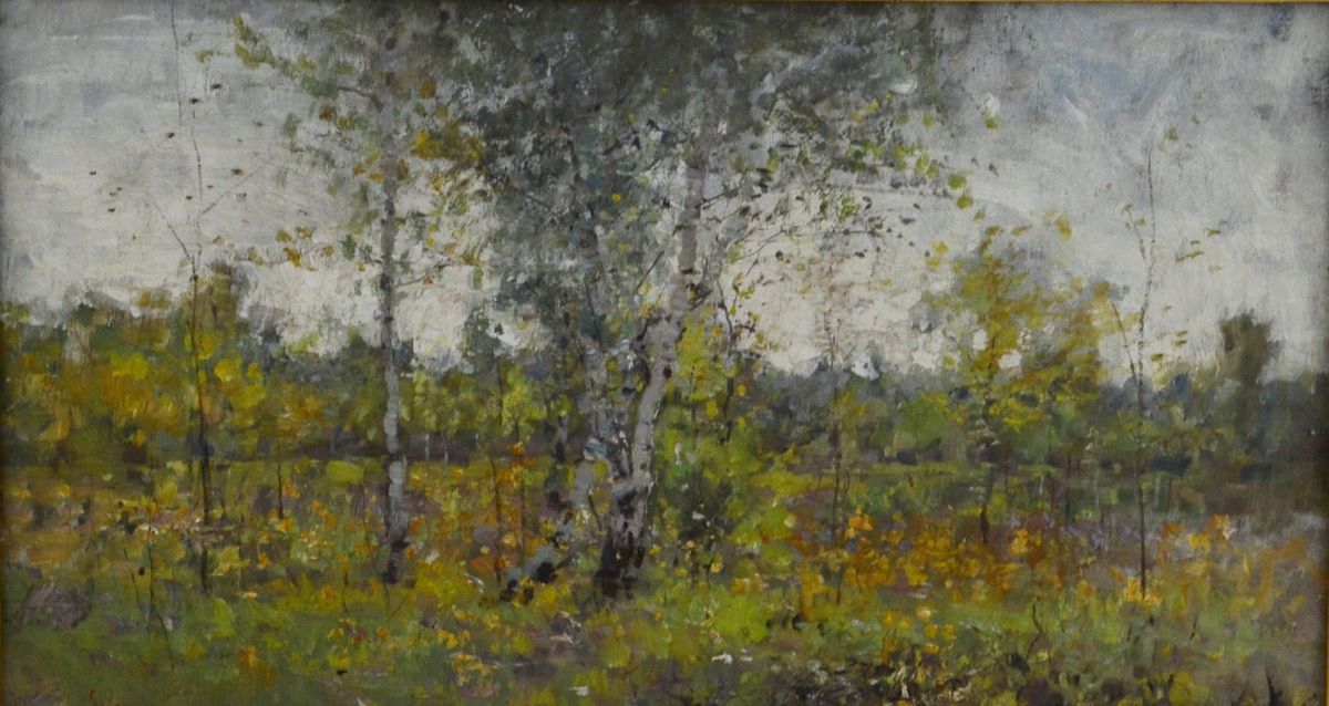 Vara