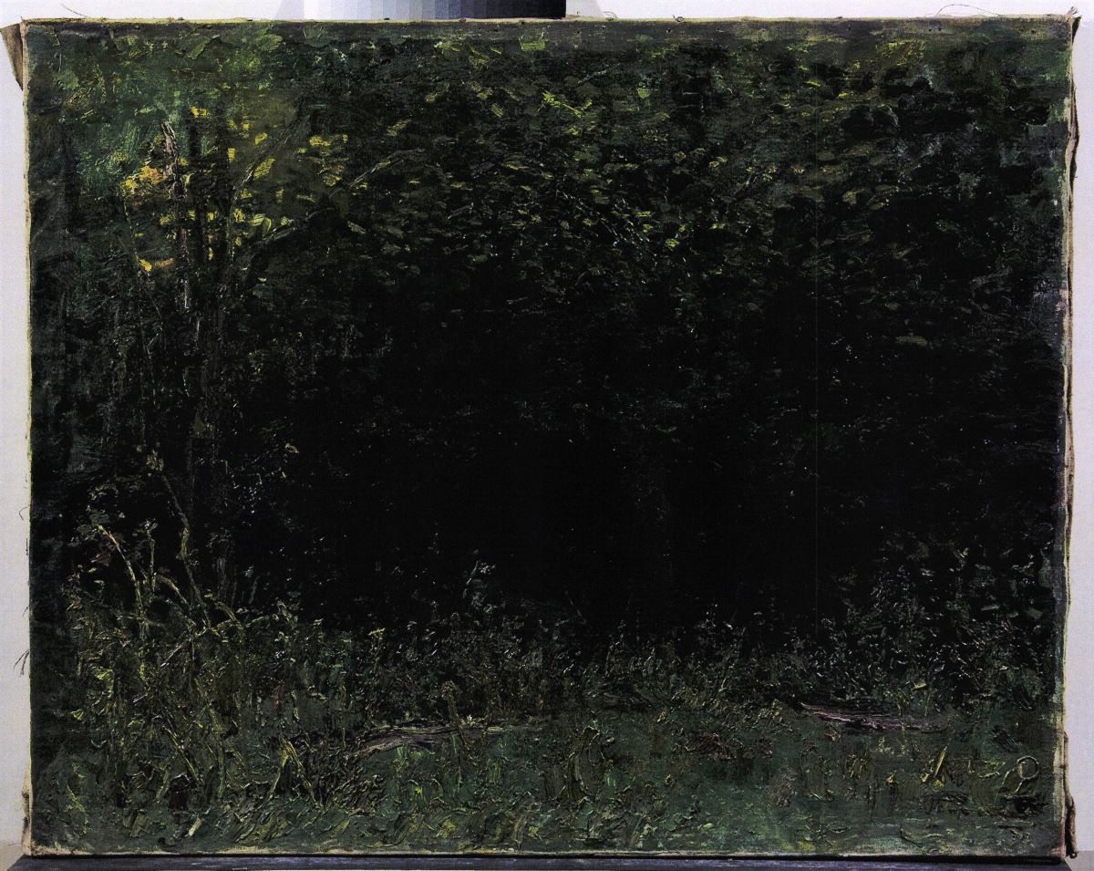 Interior de pădure