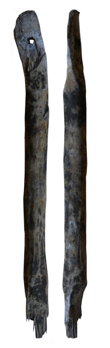 Fuscel