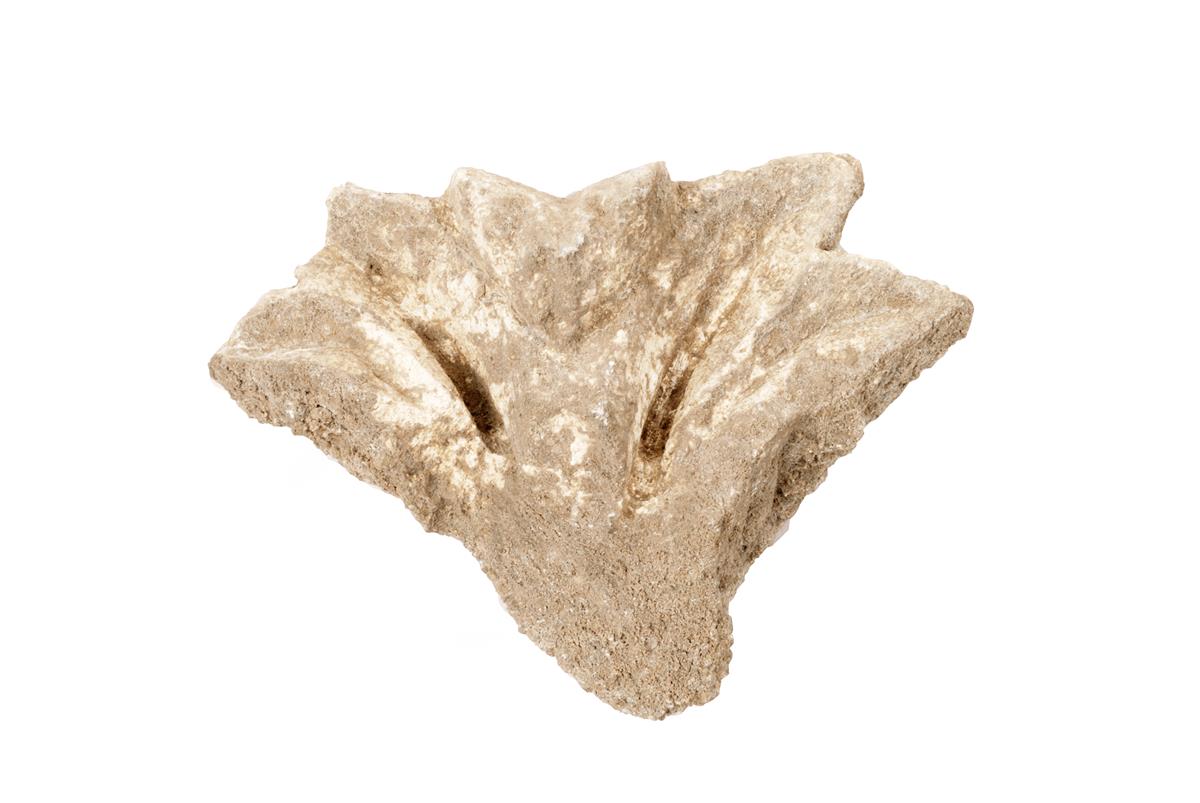 Fragment de decor arhitectural