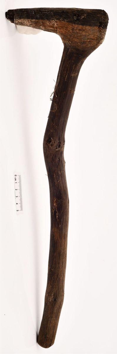 mâner de celt