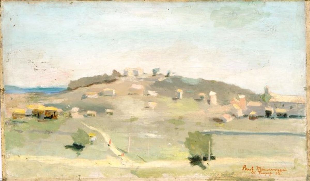 Peisaj la Saint Tropez