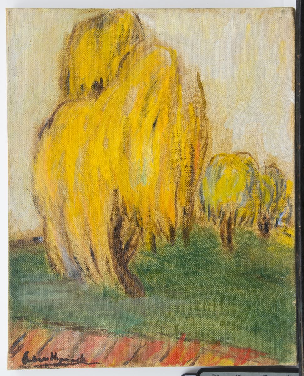 Copaci galbeni în Cișmigiu