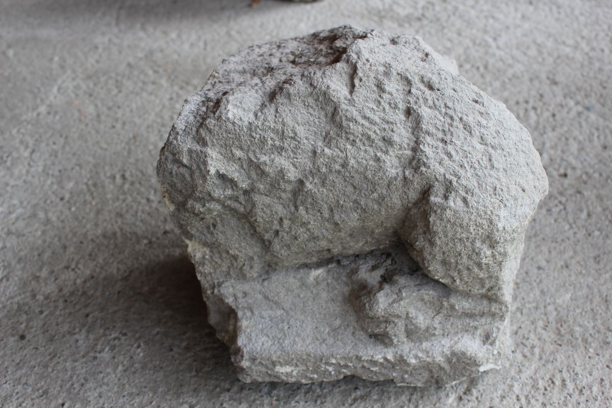 Fragment leu funerar