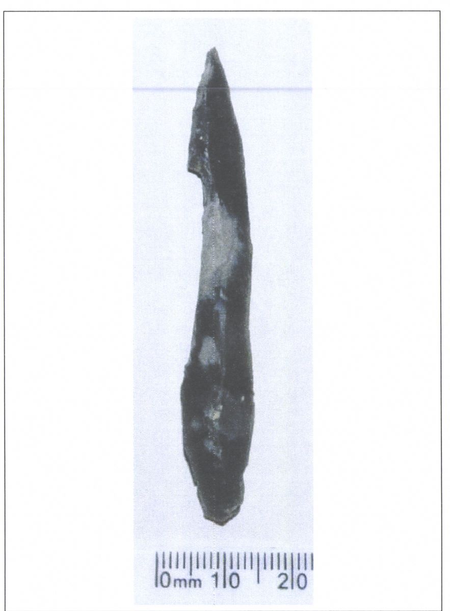 Pointe à cran