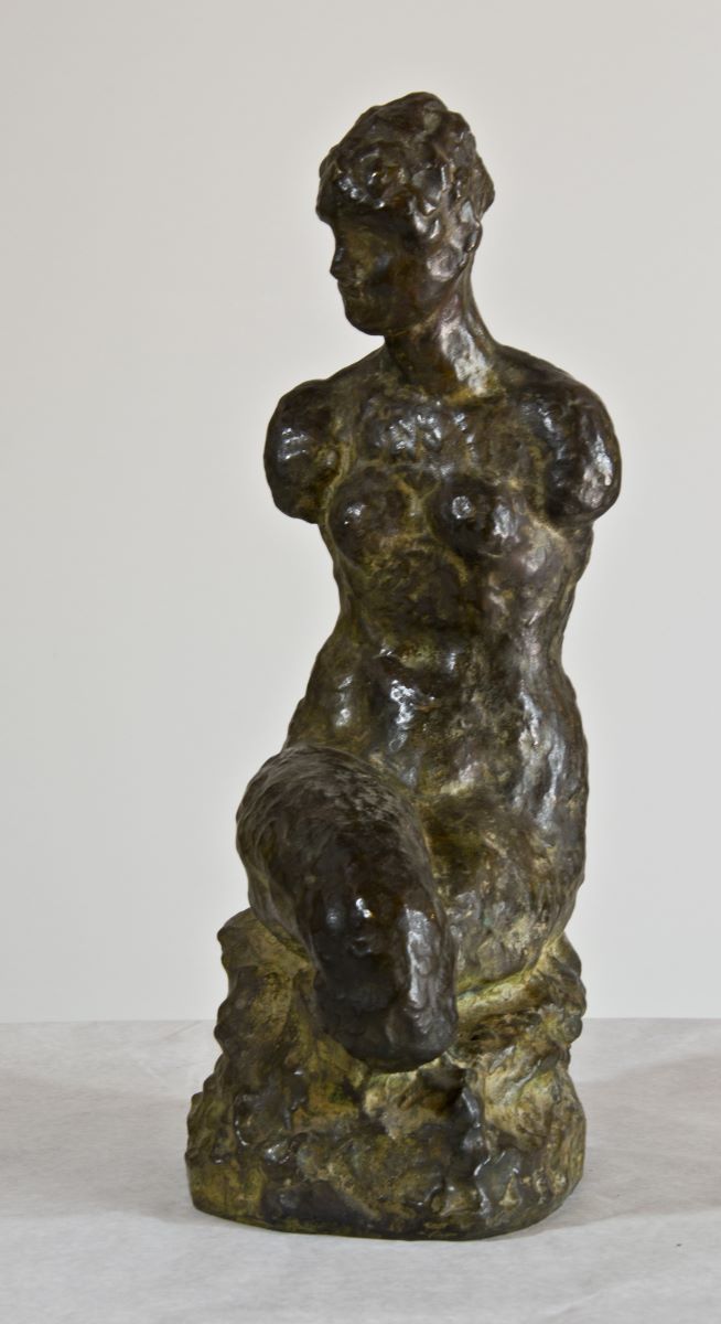 Studiu de nud