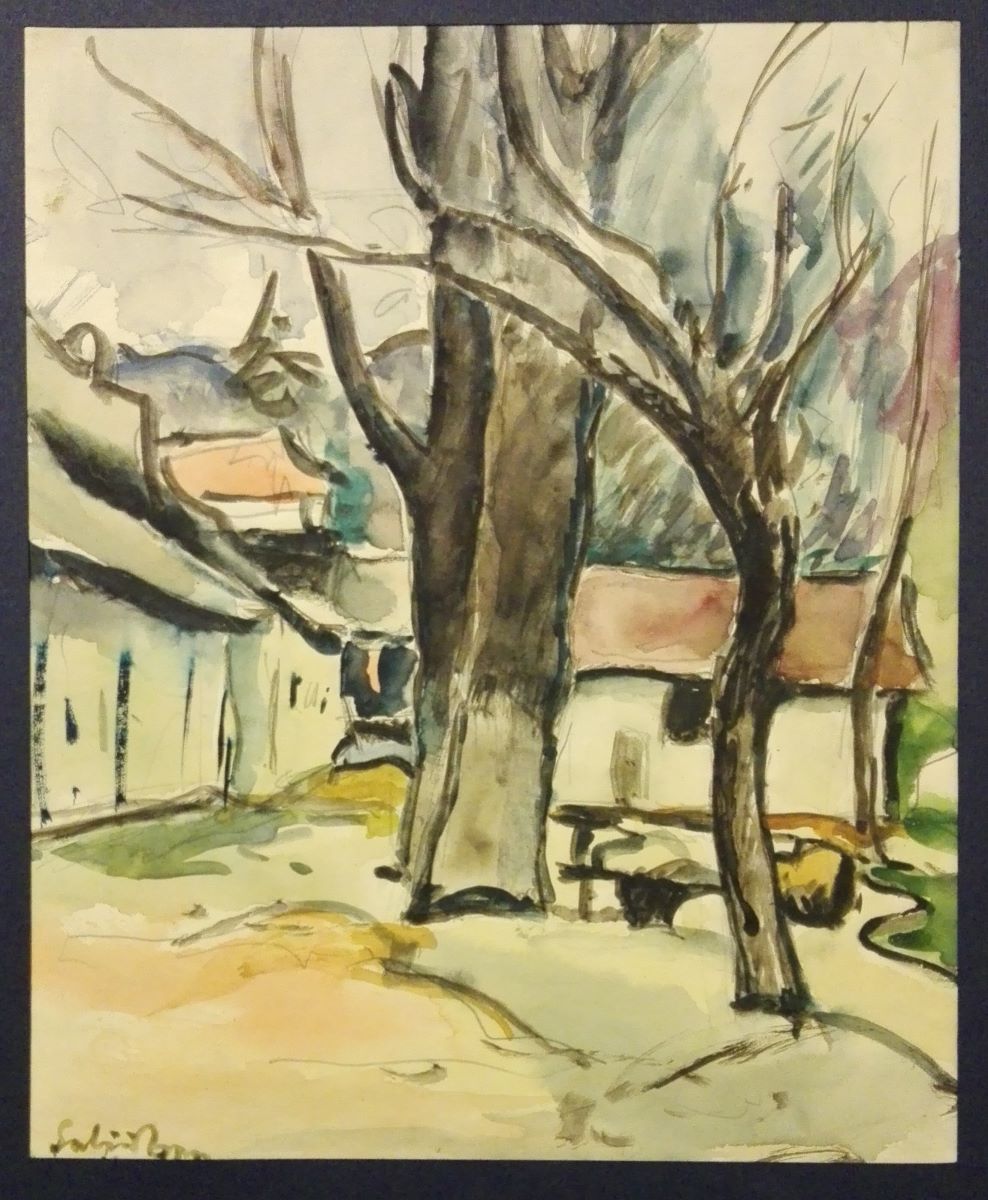 Peisaj din Brașov