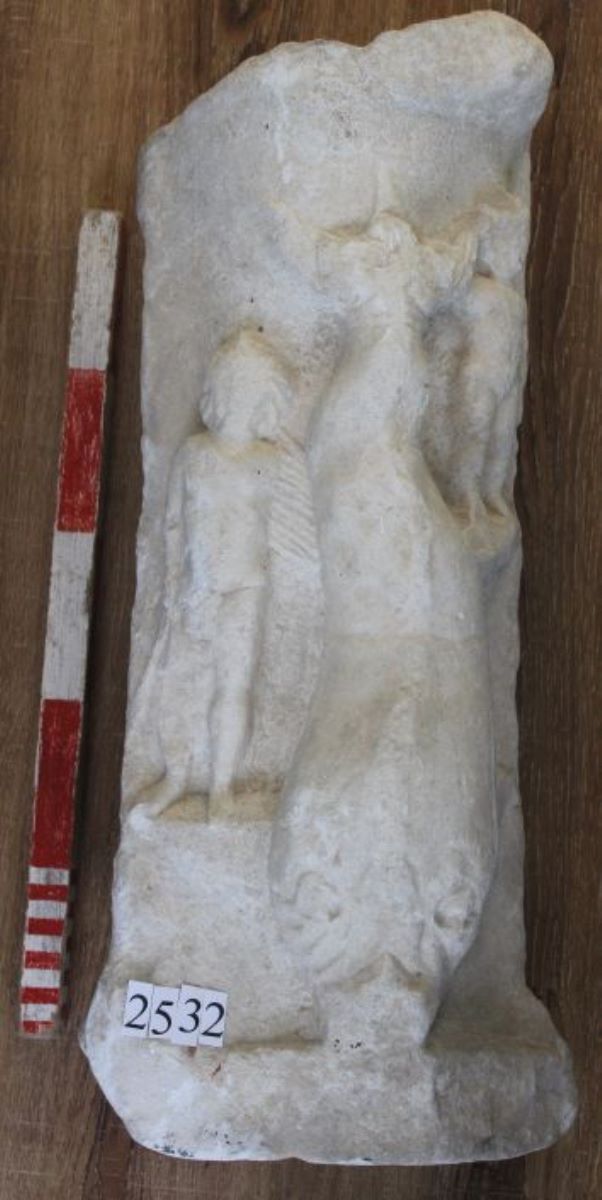 Delfin picior de masă