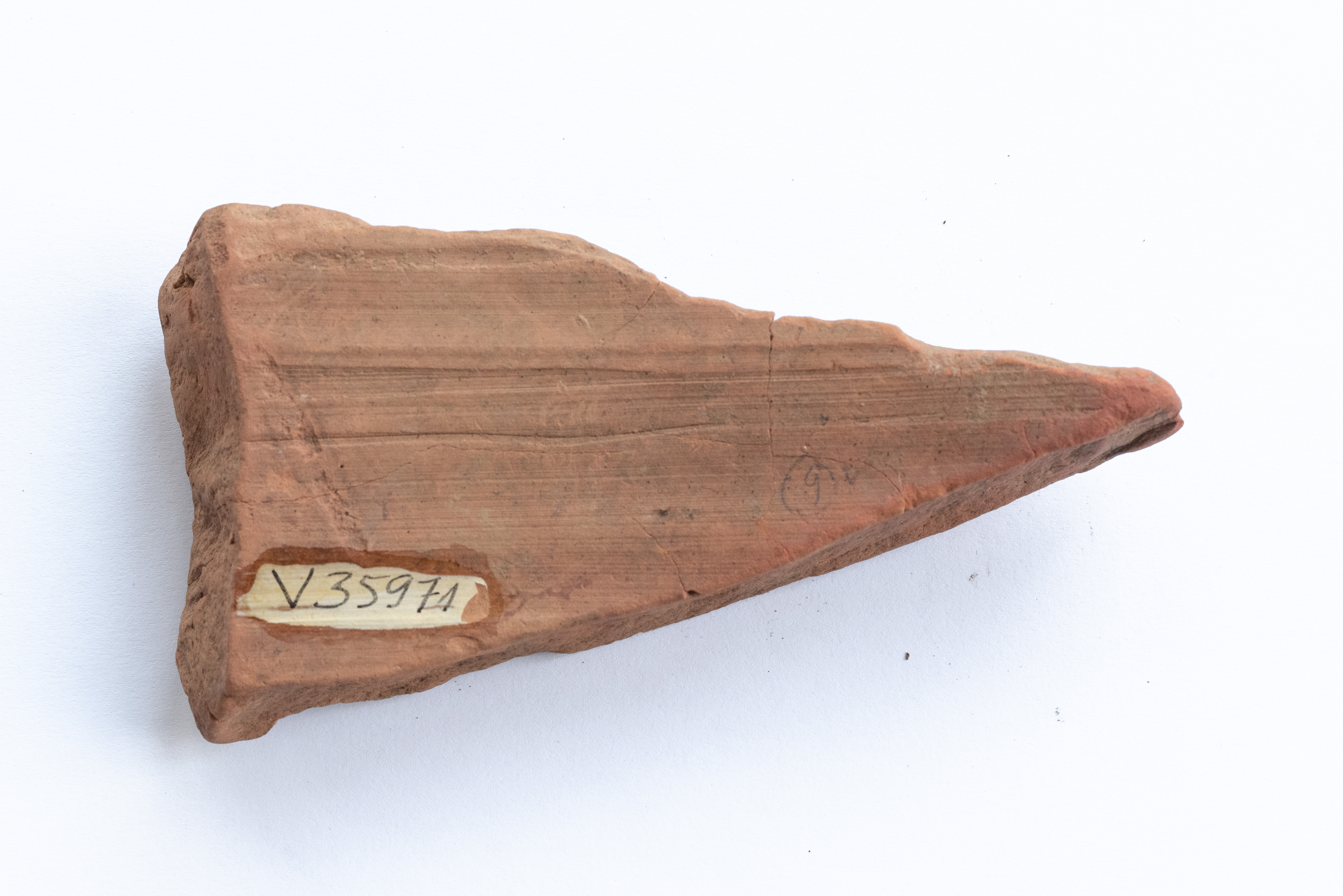 Fragment ceramic ornamentat cu motive vegetal, probabil, realizat cu vopsea roșie pe angobă de culoarea alb-gălbuie. Tehnica de realizare a fost inspirată de produsele elenistice (stilul Hadra). Motivul decorativ se înscrie în linia stilului figurativ specific ceramicii pictate din zona Sarmizegetusei Regia. Acest vas avea atât rol funcțional, cât și decorativ.
