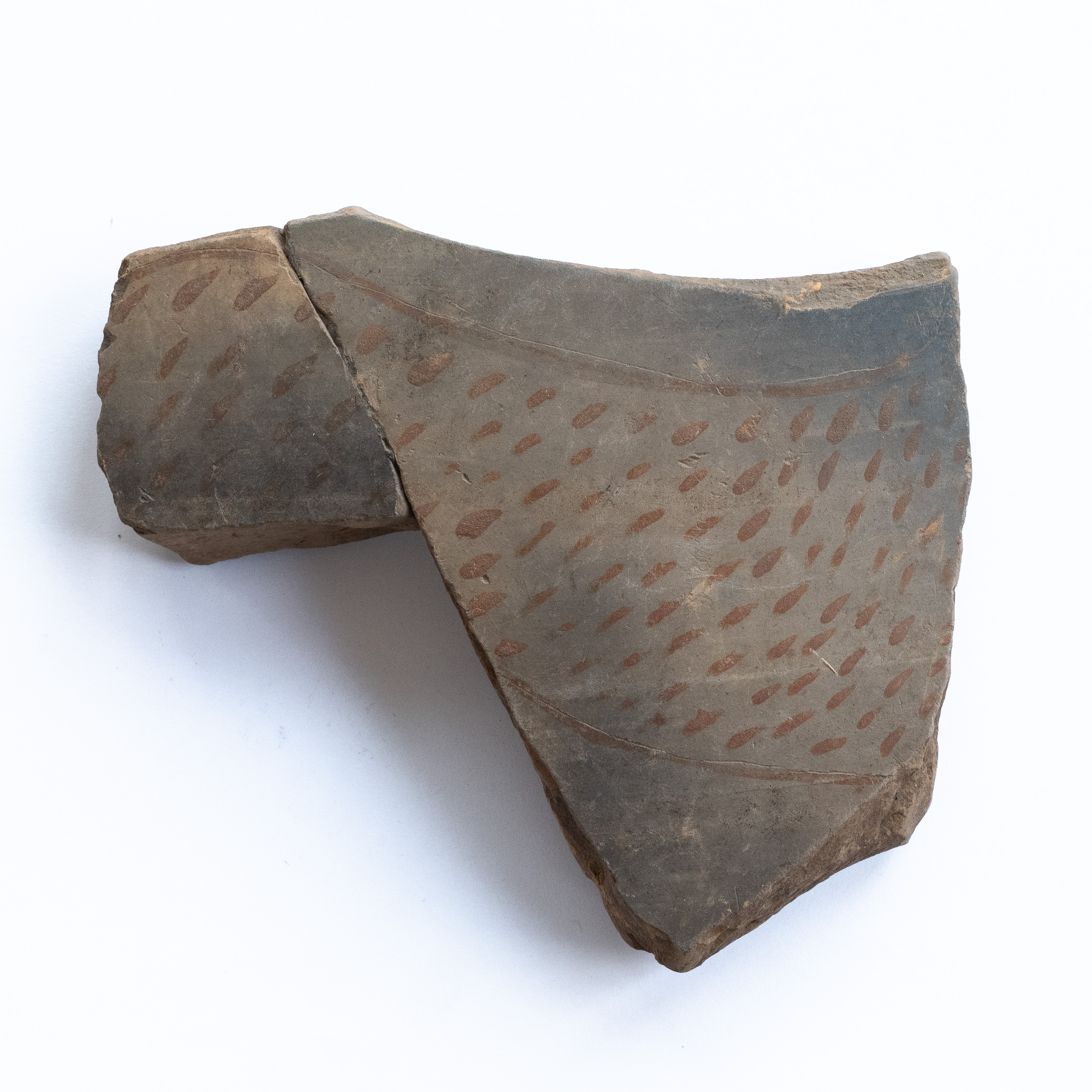 Fragment ceramic ornamentat cu motiv zoomorf (fragment din corpul unui animal - probabil o felină) , realizat cu vopsea cefenie pe angobă de culoarea alb-gălbuie; prezintă urme de ardere secundară. Tehnica de realizare a fost inspirată de produsele elenistice (stilul Hadra). Motivul decorativ se înscrie în linia stilului figurativ specific ceramicii pictate din zona Sarmizegetusei Regia. Acest vas avea atât rol funcțional, cât și decorativ.