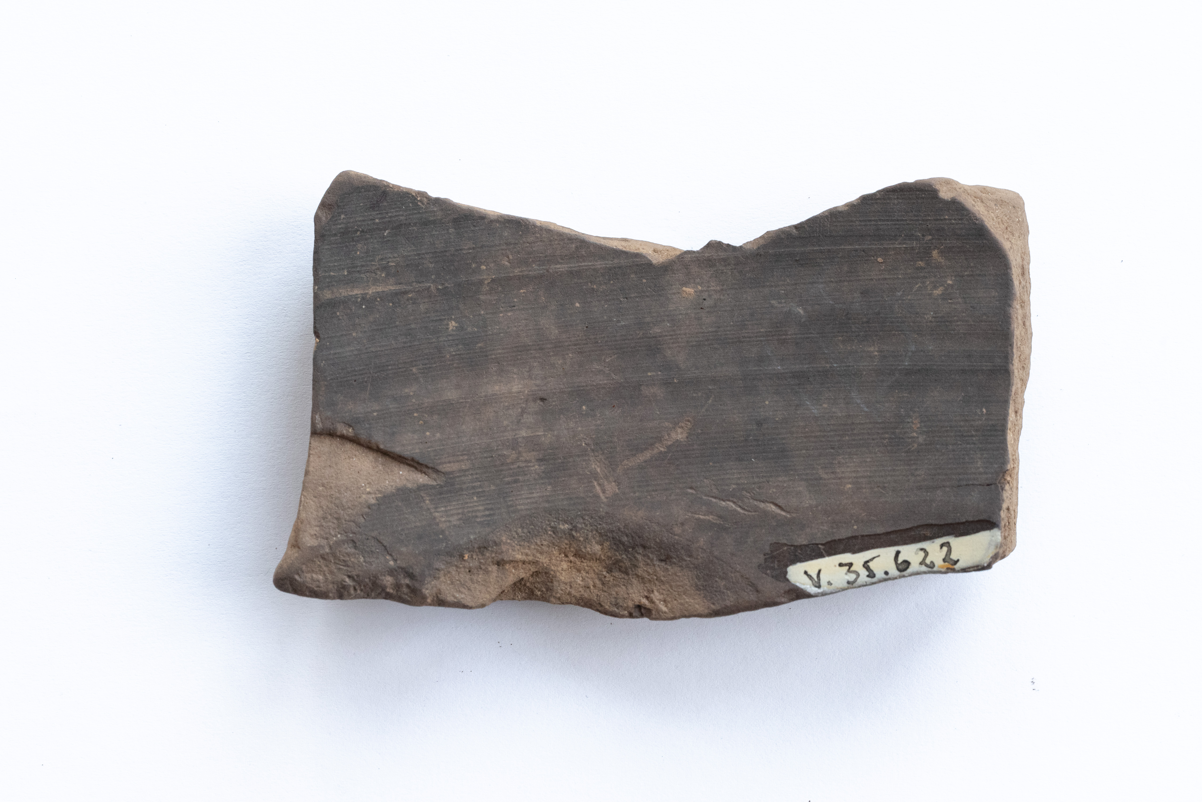 Fragment ceramic ornamentat cu motiv vegetal, probabil, realizat cu vopsea roșie pe angobă de culoarea alb-gălbuie; prezintă urme de ardere secundară.Tehnica de realizare a fost inspirată de produsele elenistice (stilul Hadra). Motivul decorativ se înscrie în linia stilului figurativ specific ceramicii pictate din zona Sarmizegetusei Regia. Acest vas avea atât rol funcțional, cât și decorativ.