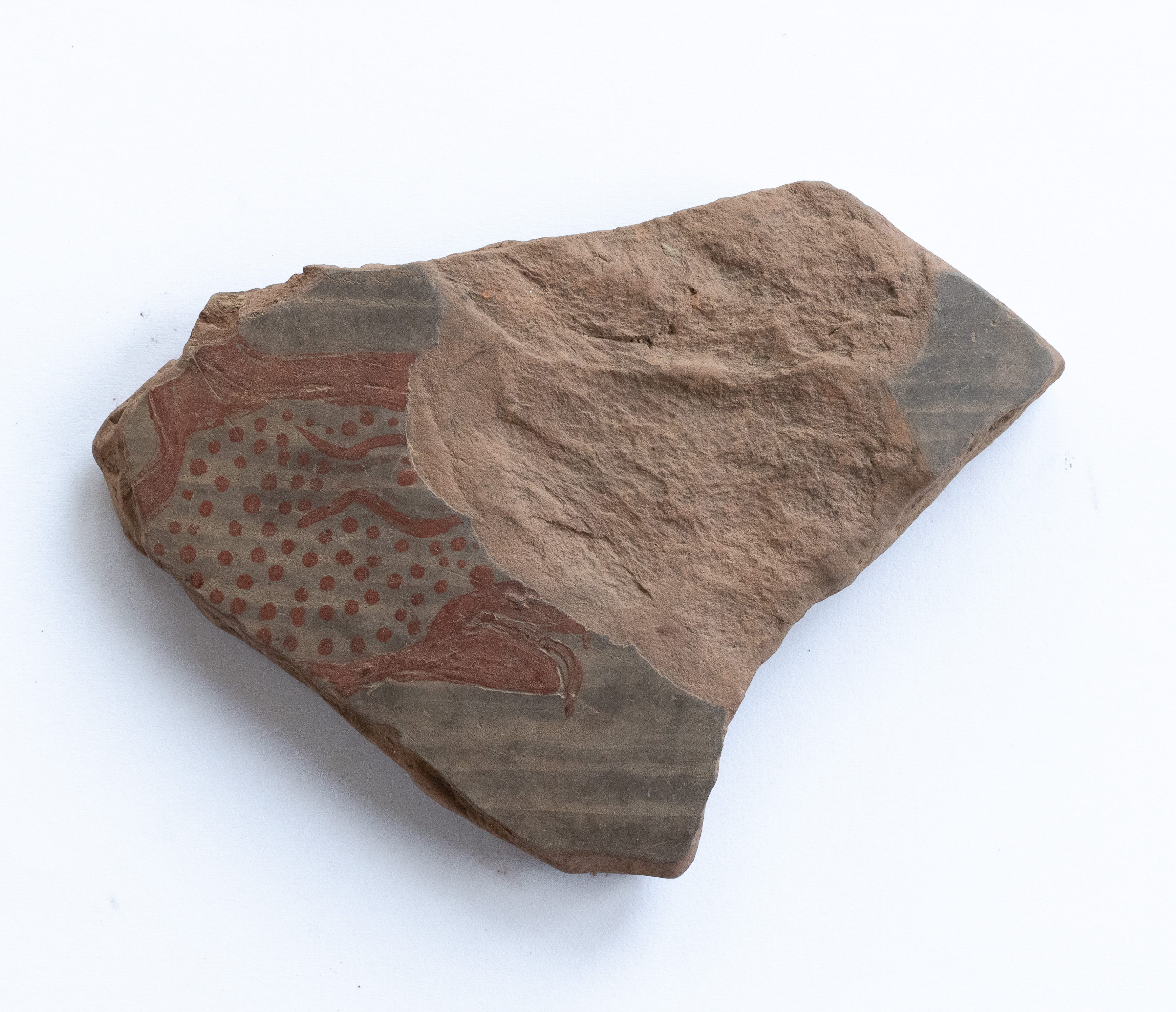 Fragment ceramic ornamentat cu motiv zoomorf (capul unui animal), realizat cu vopsea roșie pe angobă de culoarea alb-gălbuie; prezintă urme de ardere secundară. Tehnica de realizare a fost inspirată de produsele elenistice (stilul Hadra). Motivul decorativ se înscrie în linia stilului figurativ specific ceramicii pictate din zona Sarmizegetusei Regia. Acest vas avea atât rol funcțional, cât și decorativ.