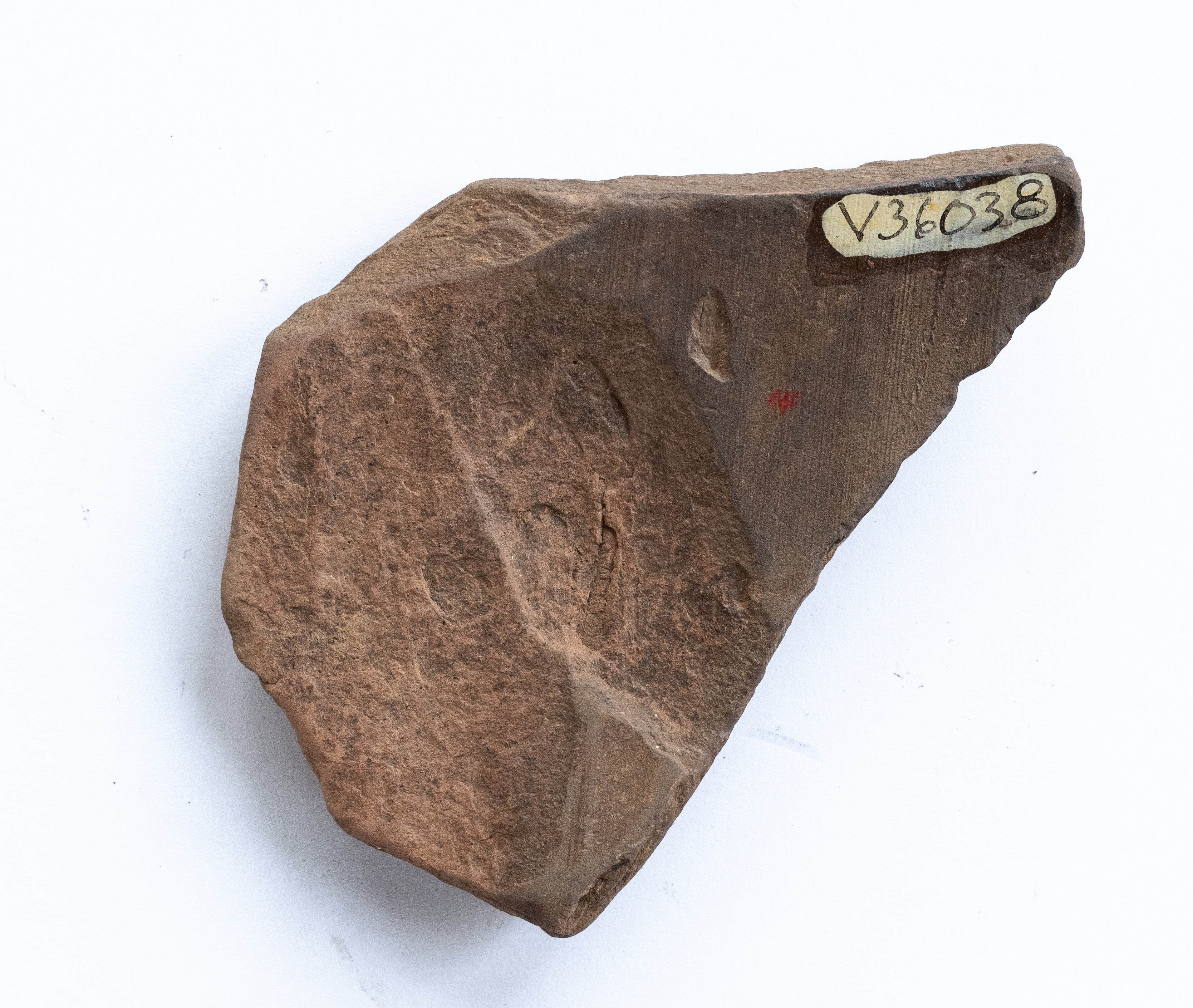 Fragment ceramic ornamentat cu motiv zoomorf (probabil corpul unei păsări), realizat cu vopsea roșie pe angobă de culoarea alb-gălbuie. Se poate remarca pe suaprafața vasului un contur trasat care nu a mai fost colorat. Tehnica de realizare a fost inspirată de produsele elenistice (stilul Hadra). Motivul decorativ se înscrie în linia stilului figurativ specific ceramicii pictate din zona Sarmizegetusei Regia. Acest vas avea atât rol funcțional, cât și decorativ.