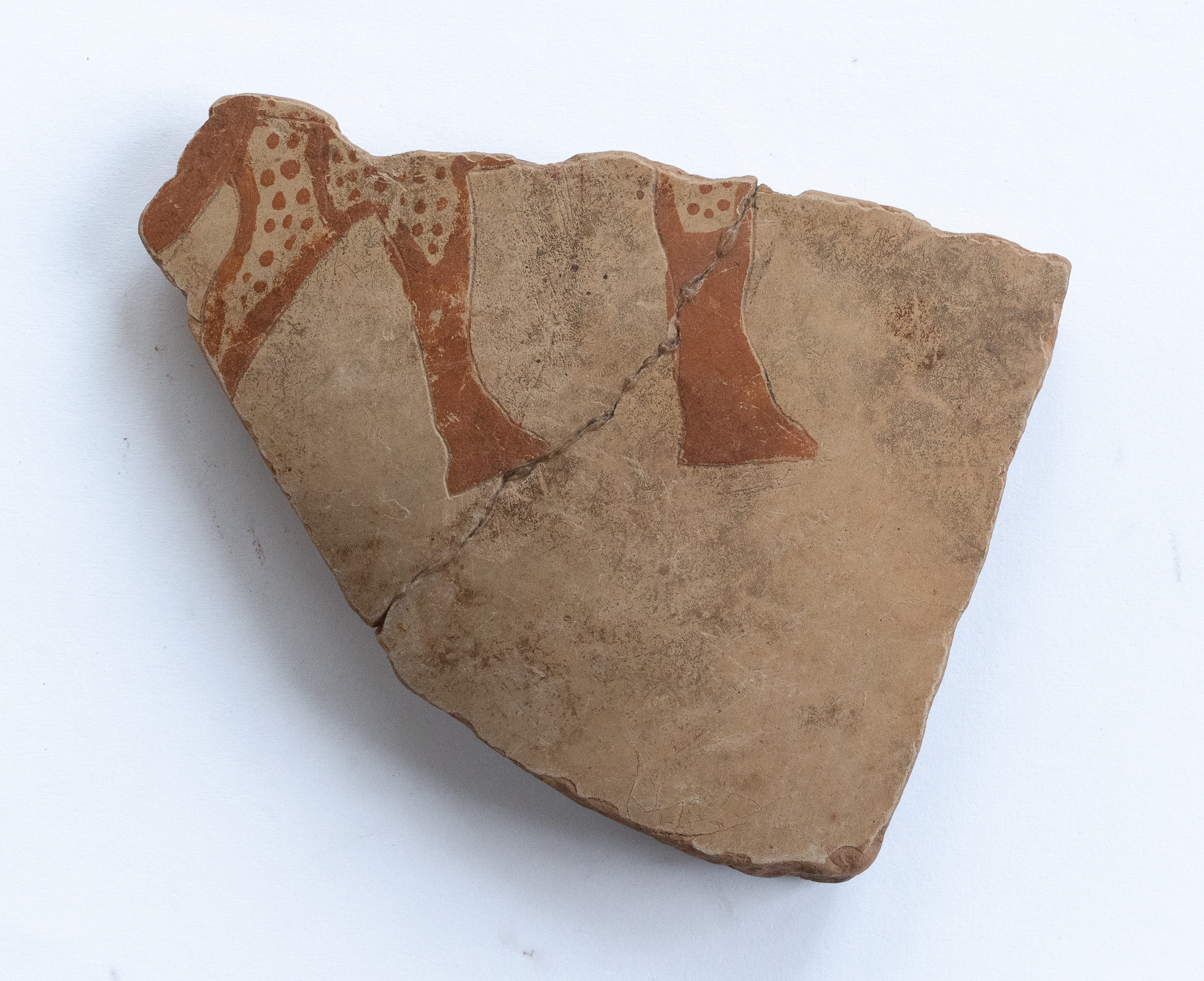 Fragment ceramic ornamentat cu motive zoomorfe, realizate cu vopsea roșie pe angobă de culoarea alb-gălbuie; prezintă ușoare urme de ardere secundară. Tehnica de realizare a fost inspirată de produsele elenistice (stilul Hadra). Motivul decorativ se înscrie în linia stilului figurativ specific ceramicii pictate din zona Sarmizegetusei Regia. Acest vas avea atât rol funcțional, cât și decorativ.