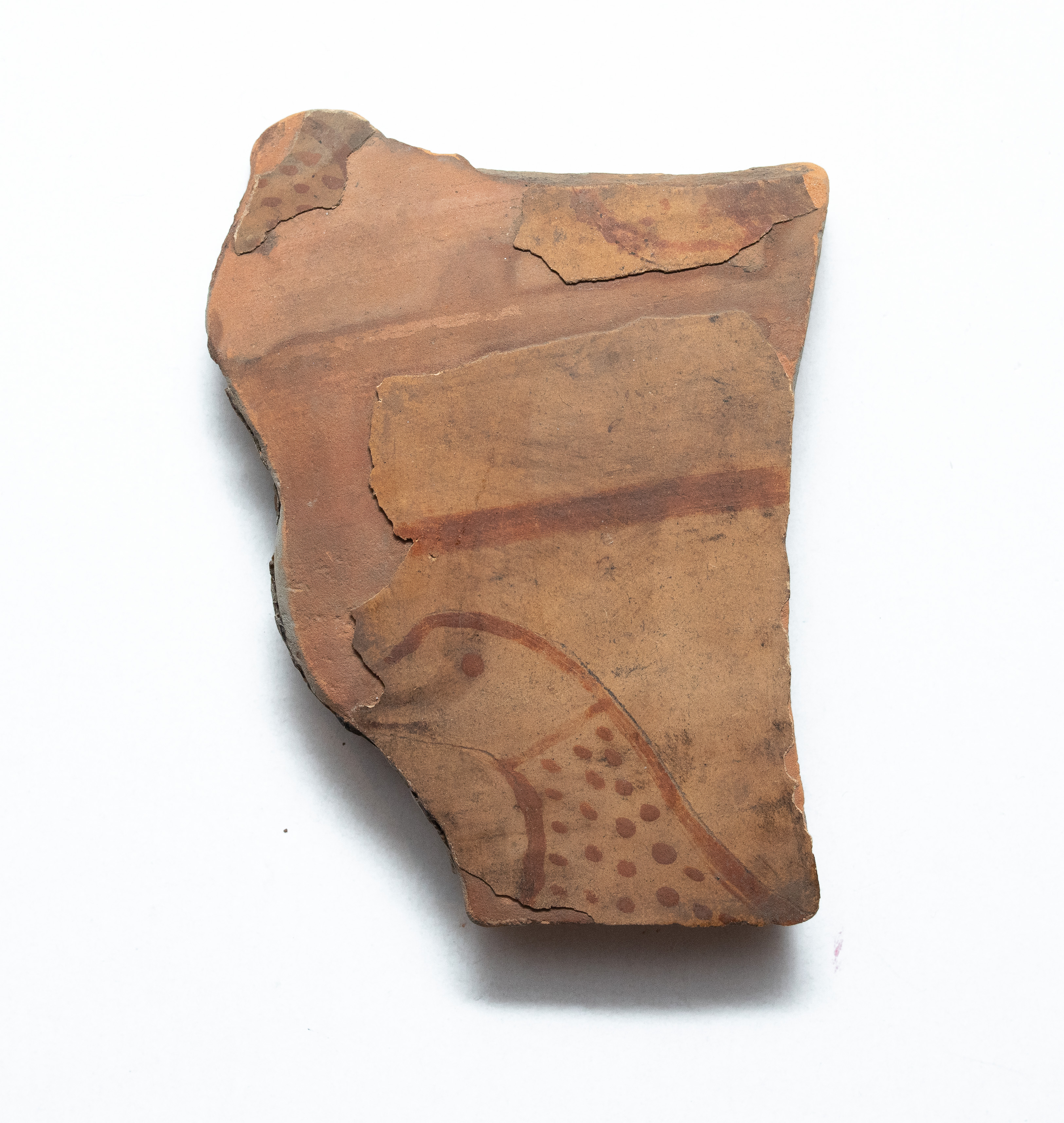 Fragment ceramic ce provine de la un vas ornamentat cu motive zoomorfe realizate cu vopsea brun-roșiatică pe angoba alb-gălbuie; prezintă puternice urme de ardere secundară. Tehnica de realizare a fost inspirată de produsele elenistice (stilul Hadra). Motivul decorativ se înscrie în linia stilului figurativ specific ceramicii pictate din zona Sarmizegetusei Regia. Acest vas avea atât rol funcțional, cât și decorativ.
