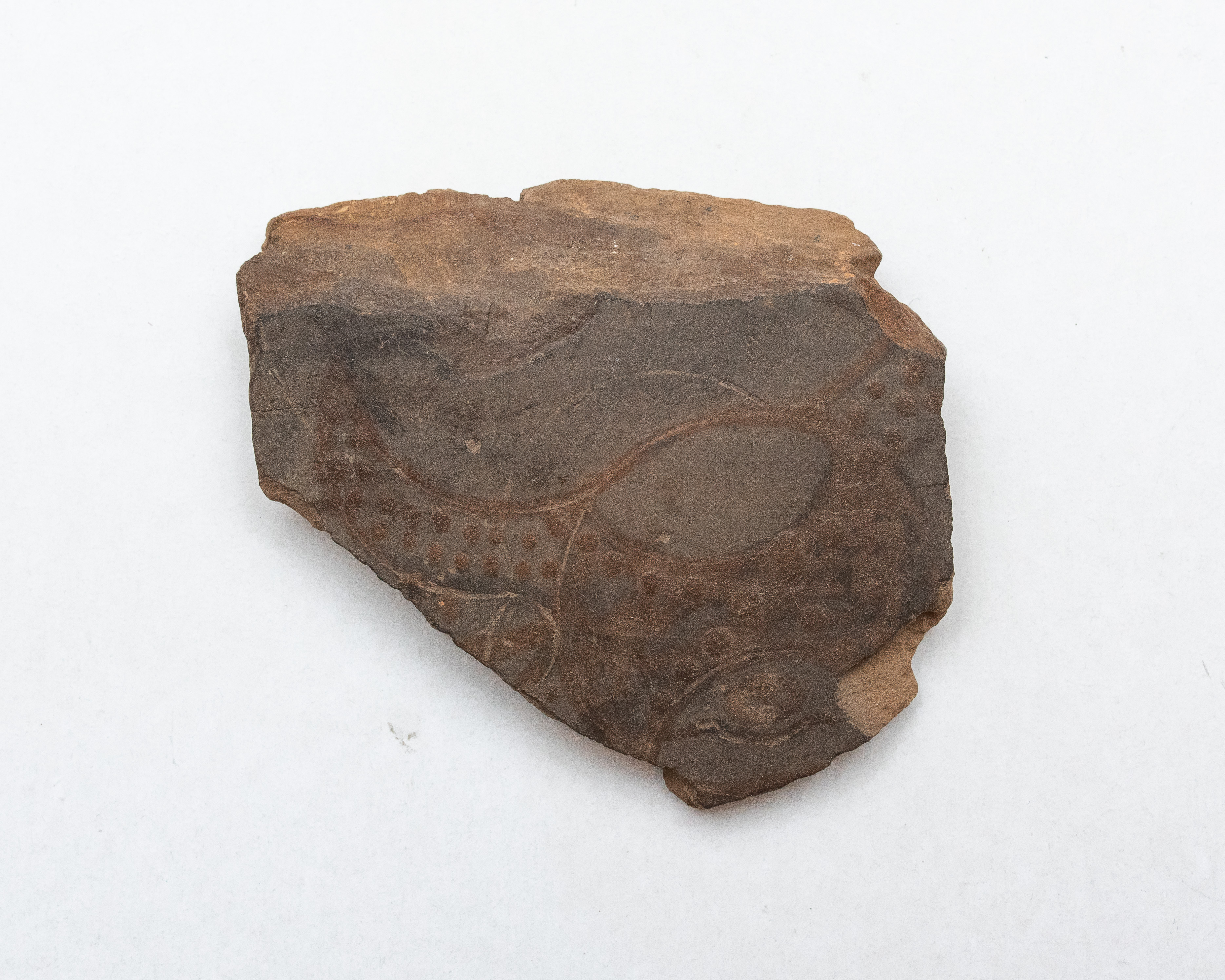 Fragment ceramic ce provine de la un vas ornamentat cu motive zoomorfe realizate cu vopsea brun-roșiatică pe angoba alb-gălbuie; prezintă puternice urme de ardere secundară.Tehnica de realizare a fost inspirată de produsele elenistice (stilul Hadra). Motivul decorativ se înscrie în linia stilului figurativ specific ceramicii pictate din zona Sarmizegetusei Regia. Acest vas avea atât rol funcțional, cât și decorativ.