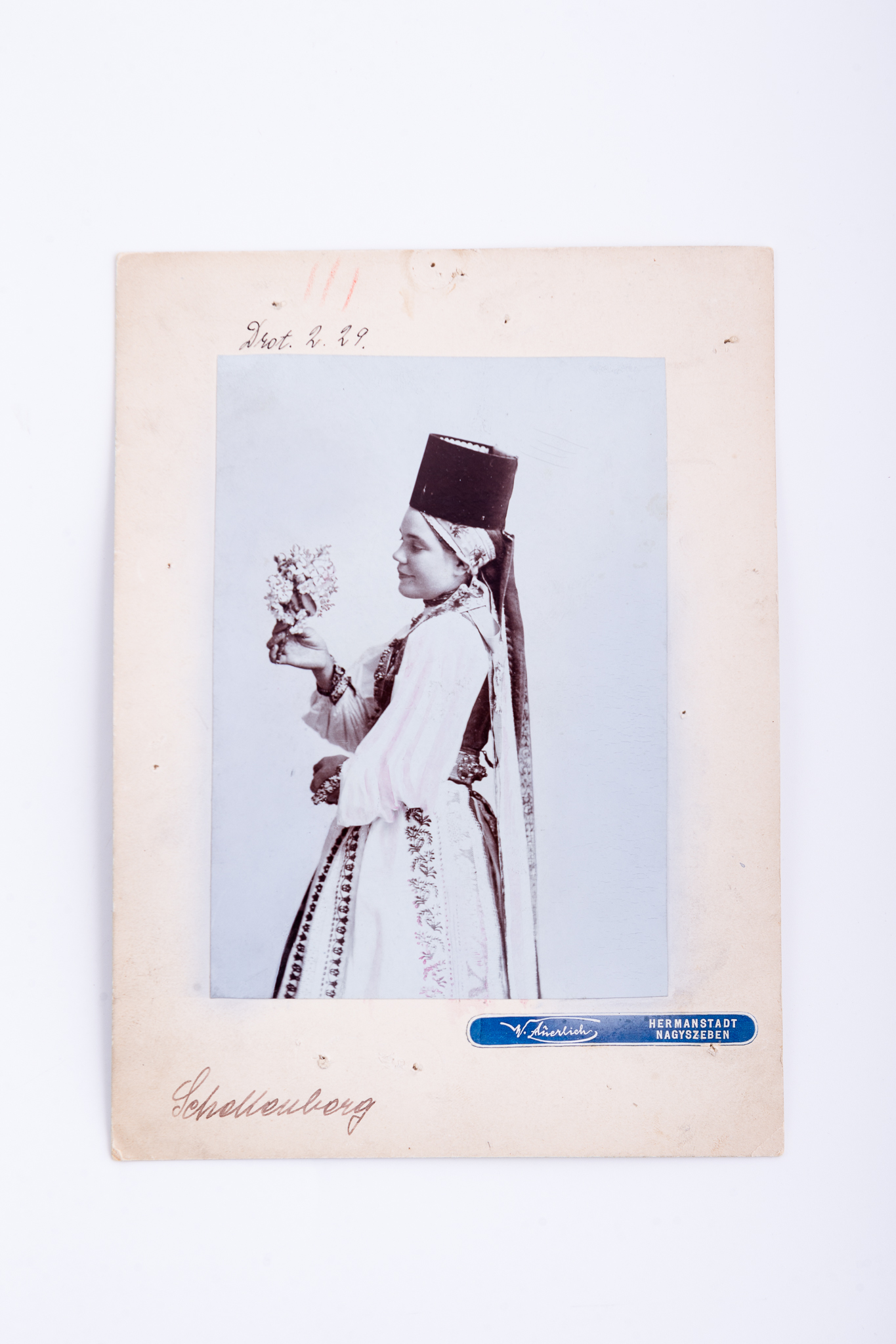 Fotografie de atelier, cu elemente de recuzită (buchet de flori). Prezintă o tânără în costum săsesc de sărbătoare (de confirmare, cu borten). Imaginea, realizată după un clișeu pe sticlă, este imprimată pe hârtie albuminată, format Cabinet Card prin tehnica P.O.P. Imaginea este lipită pe un carton gros, de culoare crem. În partea dreaptă a imaginii apare numele atelierului fotografic și localitatea în care activează: „Wilhelm Auerlich / Hermannstadt / Nagyszeben”. Pe carton, în partea de sus, urme de prindere pe un alt suport (puntură). Sub fotografie, însemnare manuscrisă, cu stiloul: „Schellenburg”. Verso: ștampilă „E. Sigerus / Hermannstadt”. Însemnare manuscrisă în limba germană și română: „Șelimbăr / Jos. Drotleff / Hermannstadt”. Număr de inventar MCPR 1321.