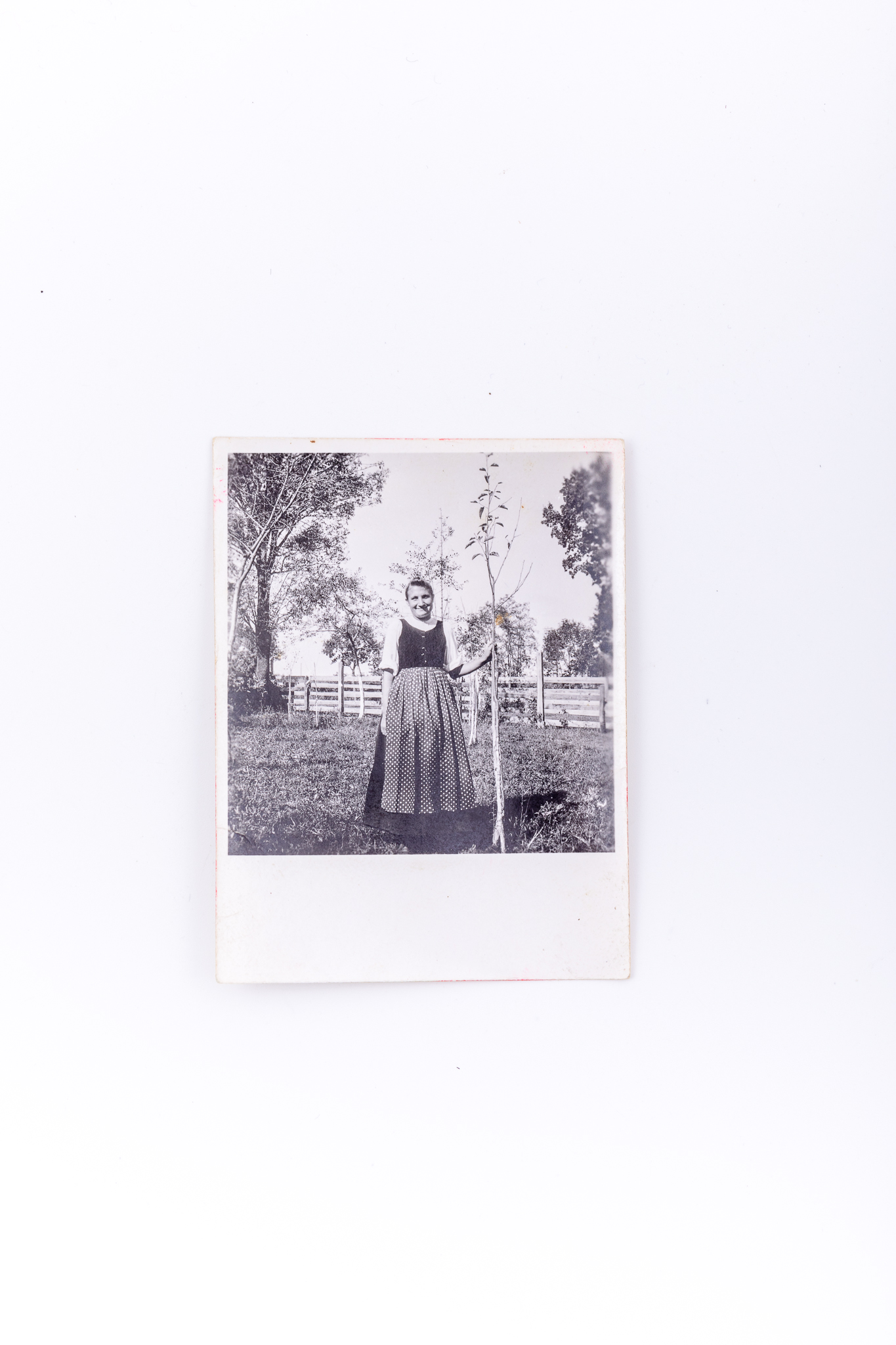 Fotografie de exterior realizată într-o livadă. Hârtie fotografică Agfa Lupex sensibilizată cu gelatino-bromură de argint, prin D.O.P. (developing-out paper – imprimare prin developare). Prezintă o landleriță în costum popular specific. Piesele care compun costumul sunt: cămașa albă, vestă neagră, fustă lungă neagră, șorț. Hârtia „Agfa Lupex” a fost foarte populară până în anul 1945. Pe verso marca Agfa Lupex; lipit număr inventar 3039 - CL, Turnișor.