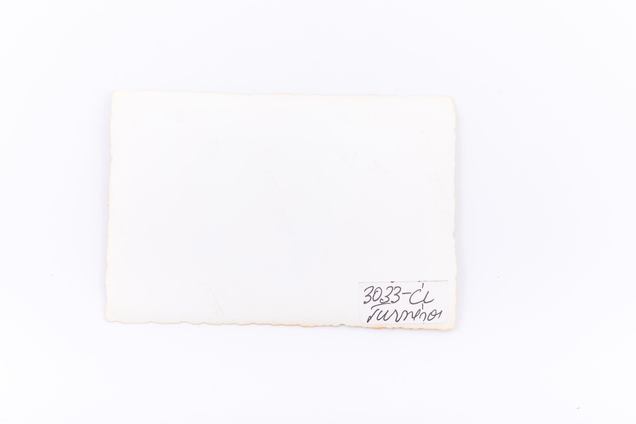 Fotografie de exterior realizată în fața unei locuințe. Hârtie fotografică Agfa Lupex sensibilizată cu gelatino-bromură de argint, prin D.O.P. (developing-out paper – imprimare prin developare). Prezintă două landlerițe în costume de sărbătoare - pe cap au batice, haine cu nasturi și mâneci lungi, fuste lungi negre, șorțuri din materiale cu imprimeuri, în picioare pantofi. Hârtia fotografică pe care a fost imprimată imaginea este „Agfa Lupex”, foarte populară până în anul 1945. Pe verso lipit număr inventar 3033 - CL, Turnișor.