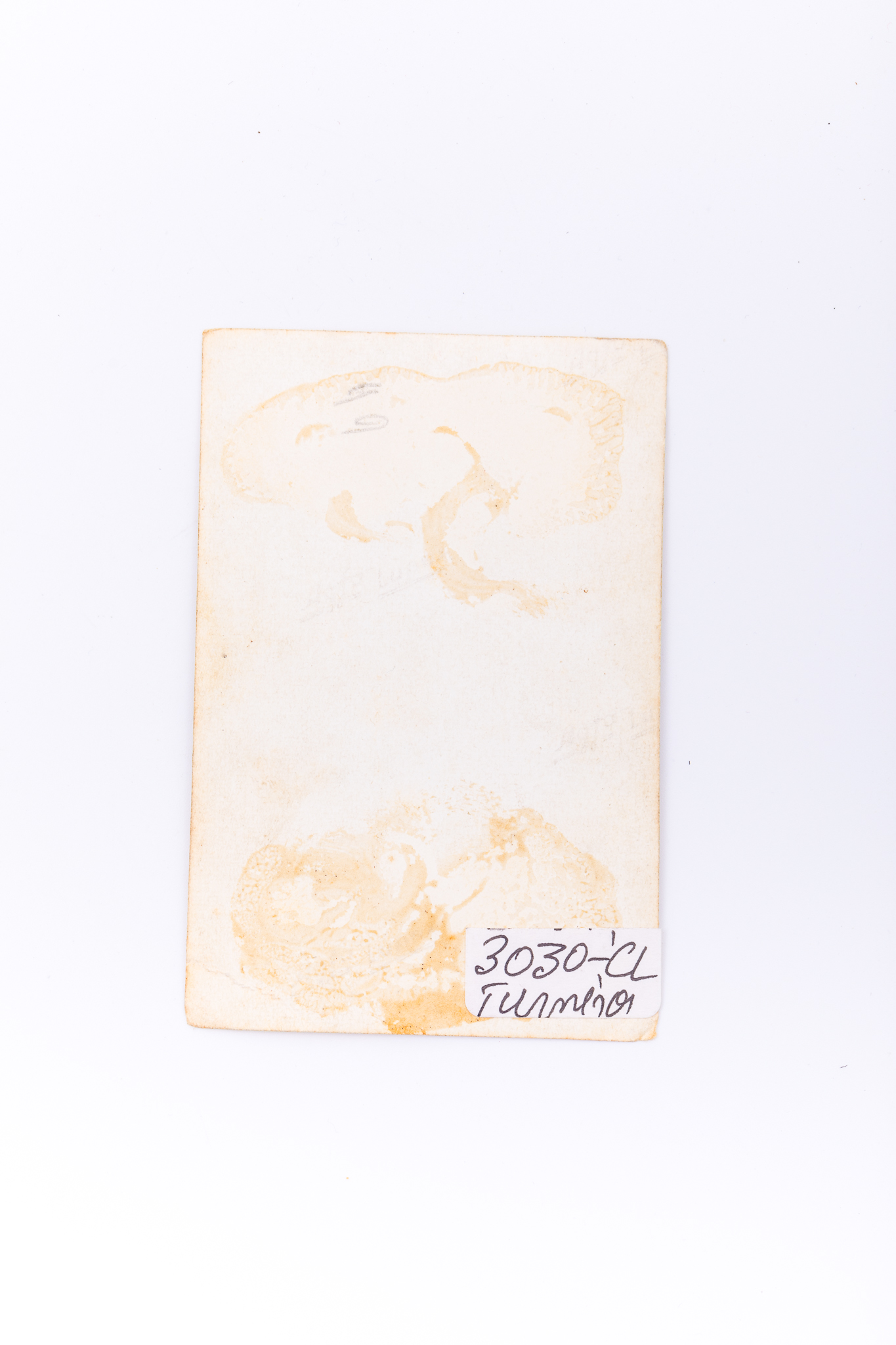 Fotografie de exterior realizată pe un pod. Hârtia fotografică este sensibilizată cu gelatino-bromură de argint de argint, prin D.O.P. (developing-out paper – imprimare prin developare). Prezintă două landlerițe în costume de sărbătoare - pe cap au batice, haine cu mâneci lungi, fuste lungi negre, șorțuri din materiale cu imprimeuri, în picioare pantofi. Hârtia fotografică pe care a fost imprimată imaginea este „Agfa Lupex”, foarte populară până în anul 1945. Pe verso urme de lipire / dezlipire de pe un alt supor; marca Agfa Lupex; lipit număr inventar 3030 CL, Turnișor.