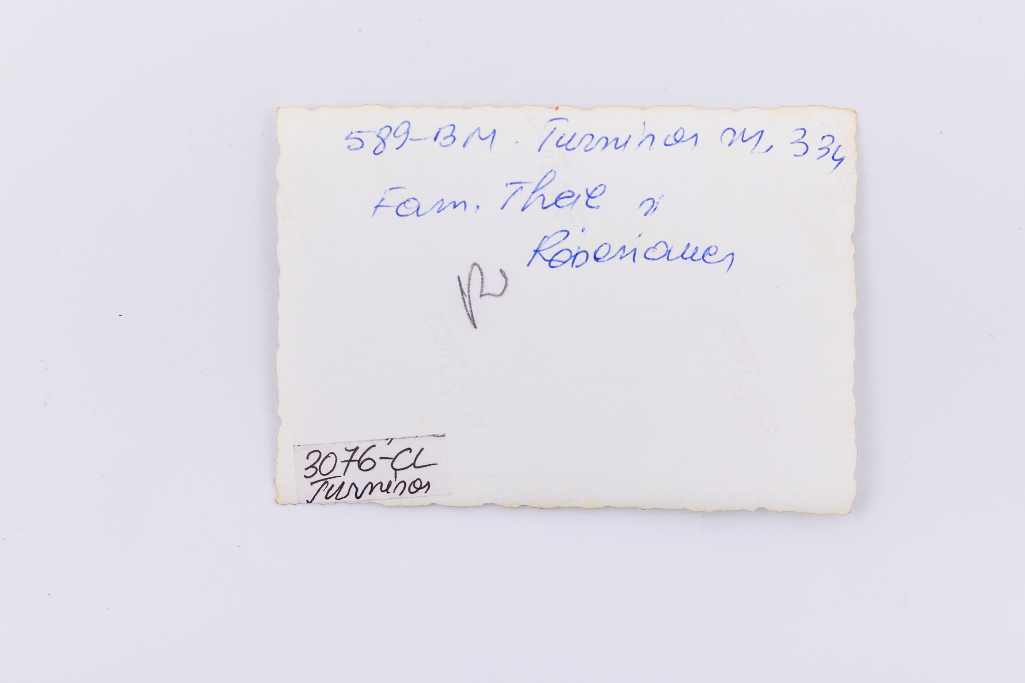 Fotografie de exterior reprezentând o tânără în curtea unei gospodării, iarna. Aceasta este așezată pe un scaun și se joacă cu un câine. Hârtia fotografică folosită este Agfa Lupex, foarte populară până în anii 1945. Hârtie fotografică mată cu gelatino-bromură de argint și marginile zimțate. Pe verso însemnare manuscrisă: „589-BM / Turnișor, nr. 334 / Fam. Theil și Reisenauer”; marca Agfa Lupex; număr inventar 3076 - CL / Turnișor.