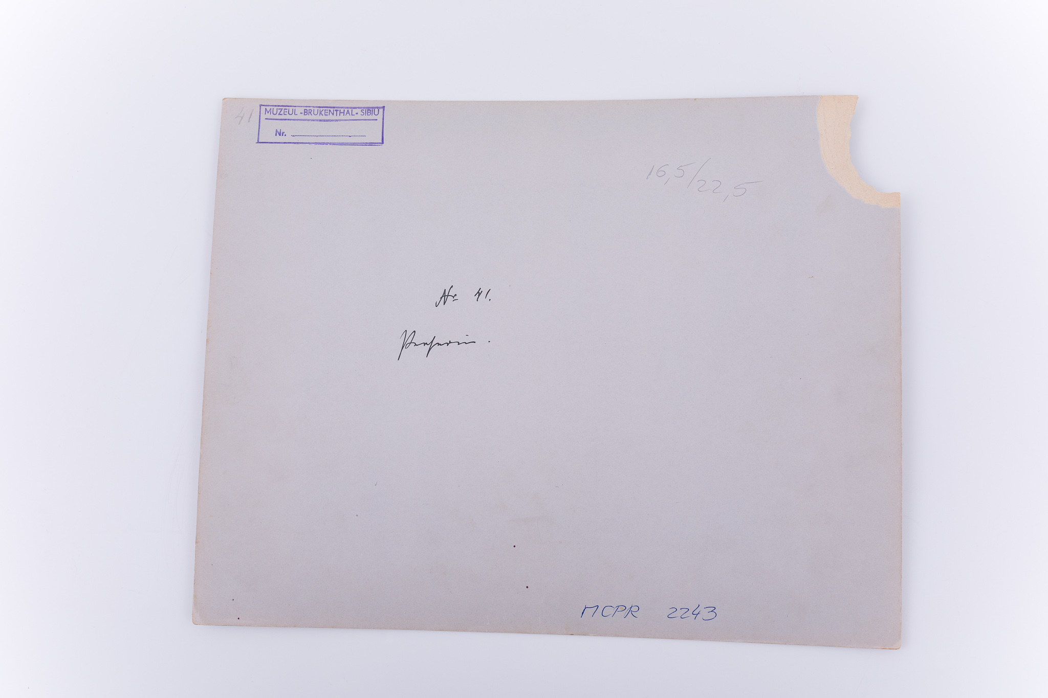 Fotografie de atelier cu elemente de recuzită: covoare, vas metalic. Prezintă o tânără în costm iranian, din timpul erei Qajar. Aceasta este surprinsă întinsă pe un covor, cu mâna stângă la tâmplă. Aceeași tânără apare într-o altă fotografie din colecția „C. R. Smith” (Nr. Inv. E. 339:20-2010), într-o altă ipostază. Acest lucru demonstrază faptul că fotograful folosea modele în scenarii și ipostaze diferite pentru portretele sale de studio. Imaginea este realizată pe hârtie albuminată, după un clișeu pe sticlă și este lipită pe un carton gros, de culoare gri, cu colțul din stânga sus rupt. Pe clișeu, însemnare manuscrisă cu numărul clișeului „ 1556” (practică frecventă în opera lui Antoin Sevruguin). Fotografia din colecția Muzeului ASTRA face parte dintr-un album ce conține 51 de piese, realizate pe hârtie albuminată, aparținând lui Antoin Sevruguin. Acestea prezintă tipuri umane, peisaje și arhitectura din Iran de la sfârșitul secolului al XIX lea și începutul secolului al XX lea, în perioada dinastiei Qajar. Pe coperta albumului, confecționat din imitație de piele roșie, apare textul „Teheran” realizat cu tuș auriu, prin presare, încadrat într-un paspartu cu modele persane, realizat tot prin presare. Pe verso, însemnare manuscrisă, în limba germană, parțial descifrabilă: „41 / …”; ștampilă: Muzeul „Brukenthal” Sibiu / Nr. …; număr de inventar MCPR 2243.